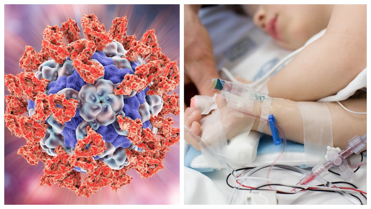 Parechovirus: el virus que tiene en alerta a las autoridades sanitarias de Nueva York… y a los padres