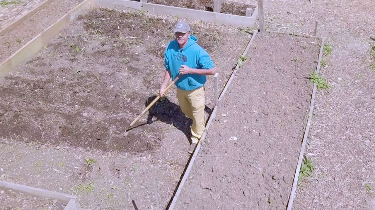 En la villita hay mucha gente con experiencia en jardinería y botánica. Para más información visite la organización
<b> <a href="http://www.lvejo.org/" target="_blank">lvejo</a> .</b>