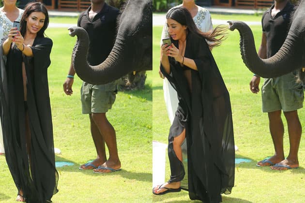 Parece que al elefante no le gustó que la socialité le diera la espalda y comenzó aspirar con su trompa a punto de darle un buen jalón de cabello, por lo que la mayor de las Kardashian emprendió una graciosa huida, captada por los paparazzi.