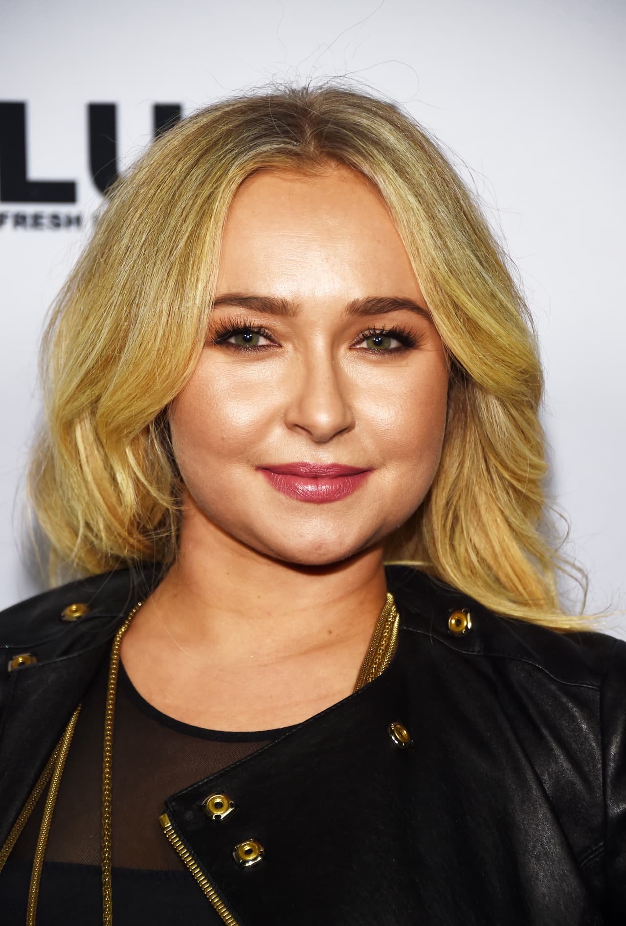 El novio de Hayden Panettiere, Brian Hickerson, fue arrestado el viernes 14 de febrero alrededor de las 2:30 a.m. en Jackson Hole, Wyoming.