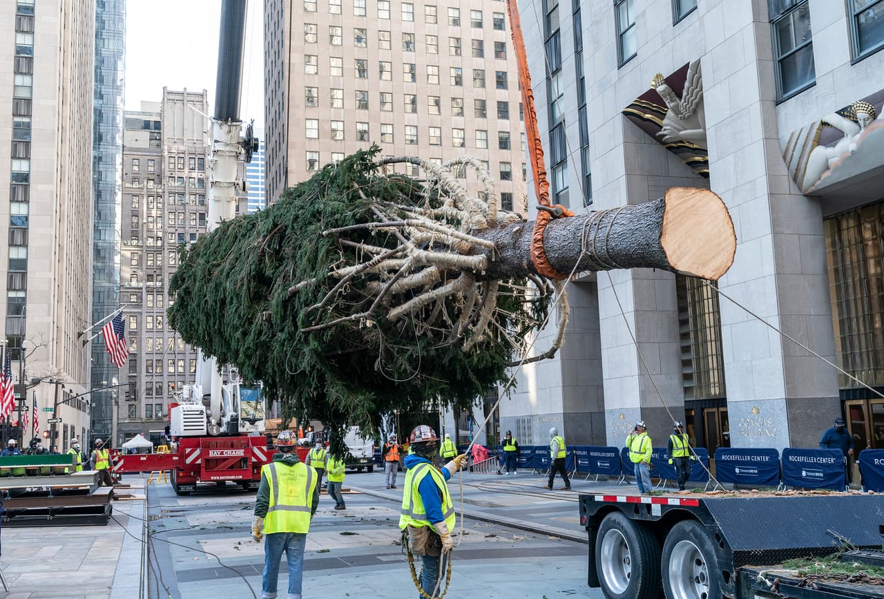 El 
<a href="https://www.univision.com/estilo-de-vida/papas-y-mamas/arbol-de-navidad"><b>árbol de Navidad</b></a> del Rockefeller Center para la temporada 2020-2021 fue cortado y transportado a 
<a href="https://www.univision.com/temas/manhattan"><b>Manhattan</b></a> la semana pasada desde Oneonta, Nueva York.