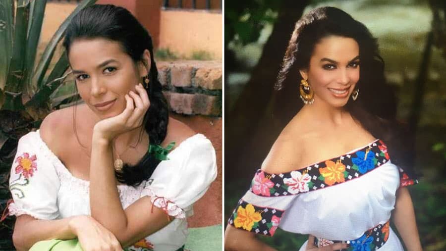 Aunque no era la intención de Mattel, la Barbie Frida recuerda mucho más a la actriz Bibi Gaytán que a la propia Kahlo. Si bien la actriz de telenovelas no se ha convertido en un icono cultural mexicano, también es una dedicada profesional, cantante y intérprete, además de familia.