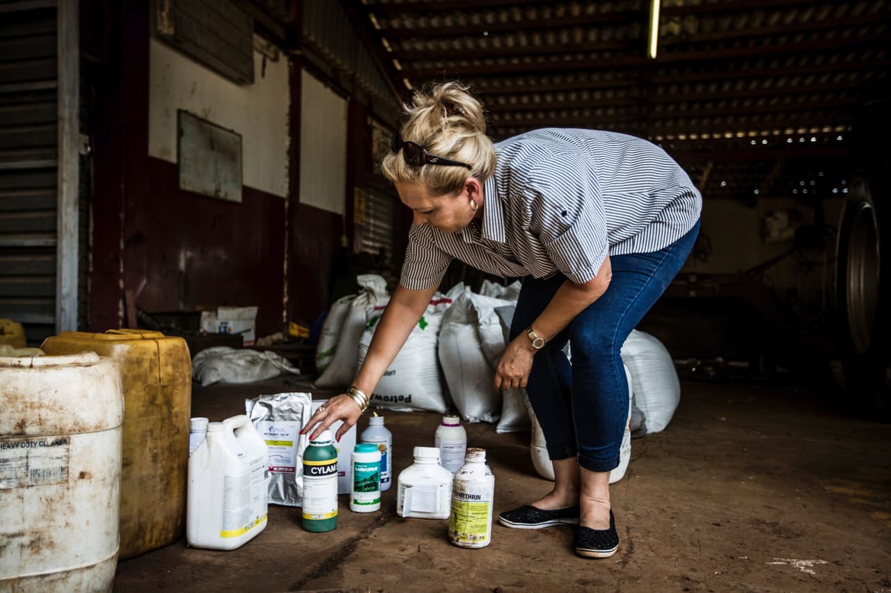 Si se decide fumigar con algún producto 
<b>insecticida</b>, lea las etiquetas o pregunte a un experto en la tienda porque debe ser específico para matar los “armyworms”. Una vez que lo aplique y ellos se lo traguen ¡hasta ahí llegaron!, dice el experto.