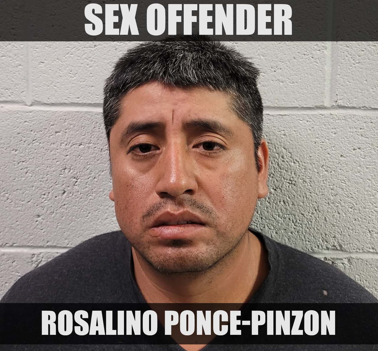 Los agentes de Nogales detuvieron a un grupo de 13 ciudadanos mexicanos cerca de Río Rico, AZ, entre ellos un niño migrante no acompañado y Rosalino Ponce-Pinzón. Ponce fue condenado por solicitud sexual de un niño en Pine Bluff, Arkansas en 2010. Ee=nfrenta a cargos penales por reingreso ilegal.