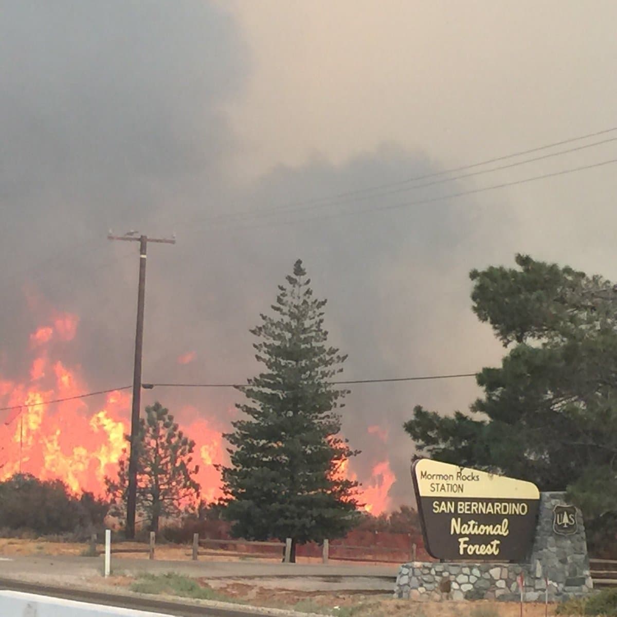 El Bosque Nacional San Bernardino afectado por las llamas.