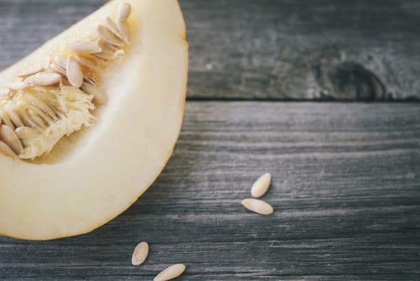 13. Su fruta favorita es el melón.