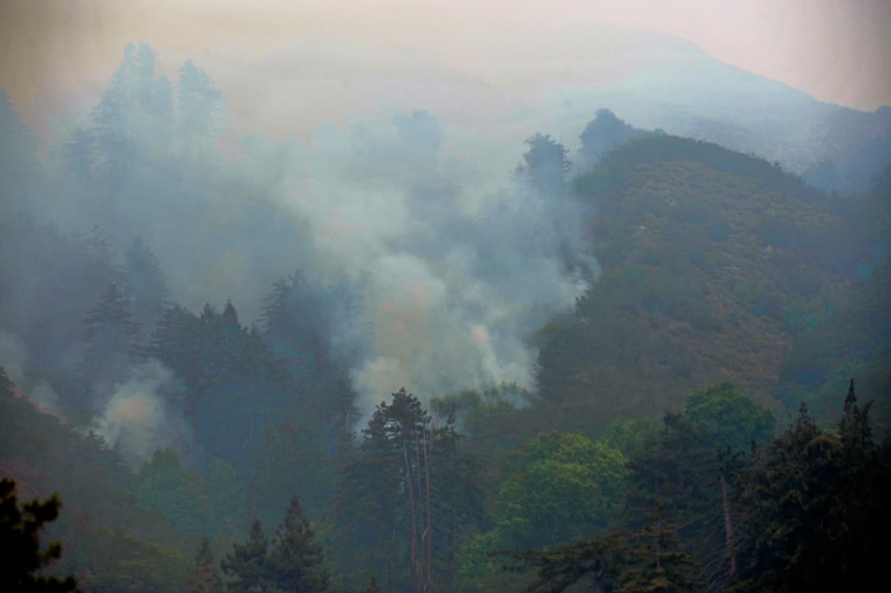 <b>Basin Complex</b>, junio de 2008
<br>162,818 acres
<br>Condado Monterey
<br>Fue provocado por un relámpago.