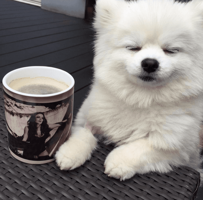 ¡Hasta se toma selfies y las sube a su cuenta de Twitter!