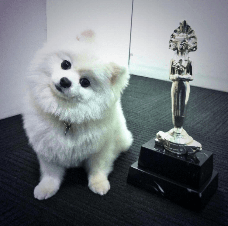 Incluso tiene una Diosa de Plata que le dedica a su "mamá" Yolanda Andrade.