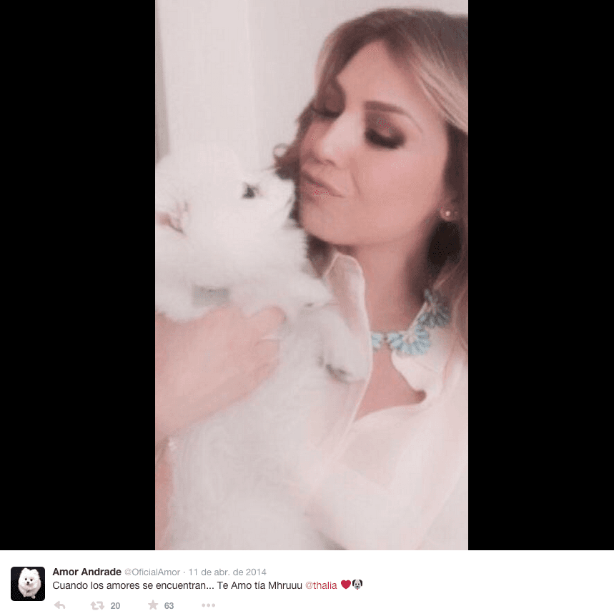 Pero a la que más twittea es a su bella y talentosísima "tía" Thalía.