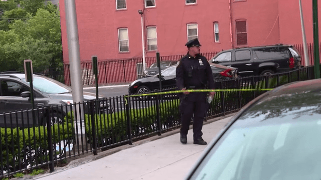 Jovencita de 16 años muere de un tiro en la cabeza en parque de El Bronx: la policía busca a muchacho de 14 años