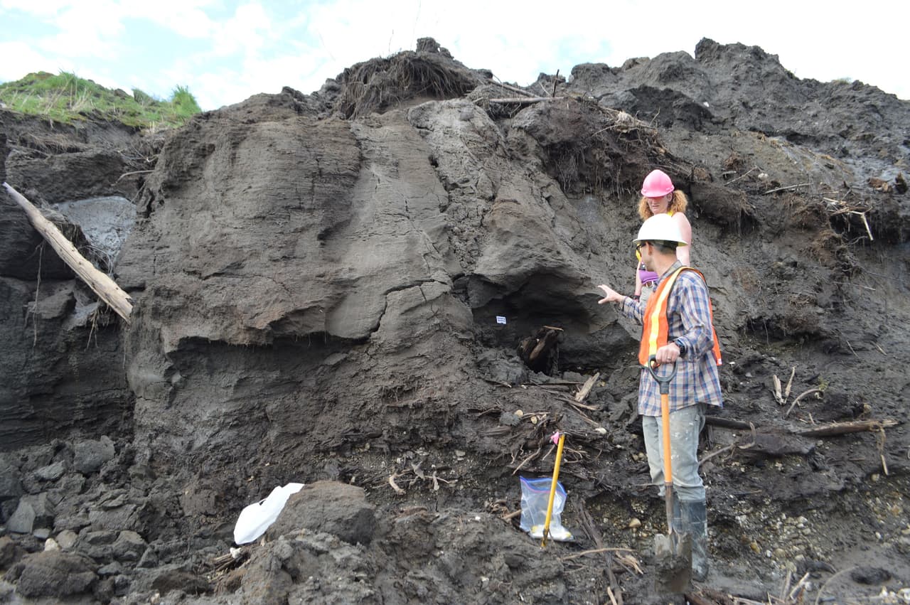 Imagen de la excavación en el área en la que se halló el caribú. El experto Zazula explicó que 
<b>Yukon tiene una gran cantidad de huesos fósiles y cadáveres momificados de mamíferos de la Edad de Hielo pero que "raramente se desentierran aquí" por la capa de permafrost</b>, como se llama al suelo permanentemente congelado en áreas heladas del planeta.
