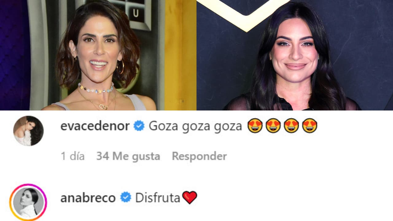 Colegas de la artista de melodramas como 
<b><a href="https://vix.com/es/detail/series-543?utm_medium=internal_referral&utm_source=univision&utm_campaign=breaking_news&utm_content=ed_entertainment&utm_term=slideshow" target="_blank">Abismo de Pasión, que puedes ver gratis aquí en ViX</a></b>, se alegraron de verla tan contenta junto con su esposo en Europa. 
<br>