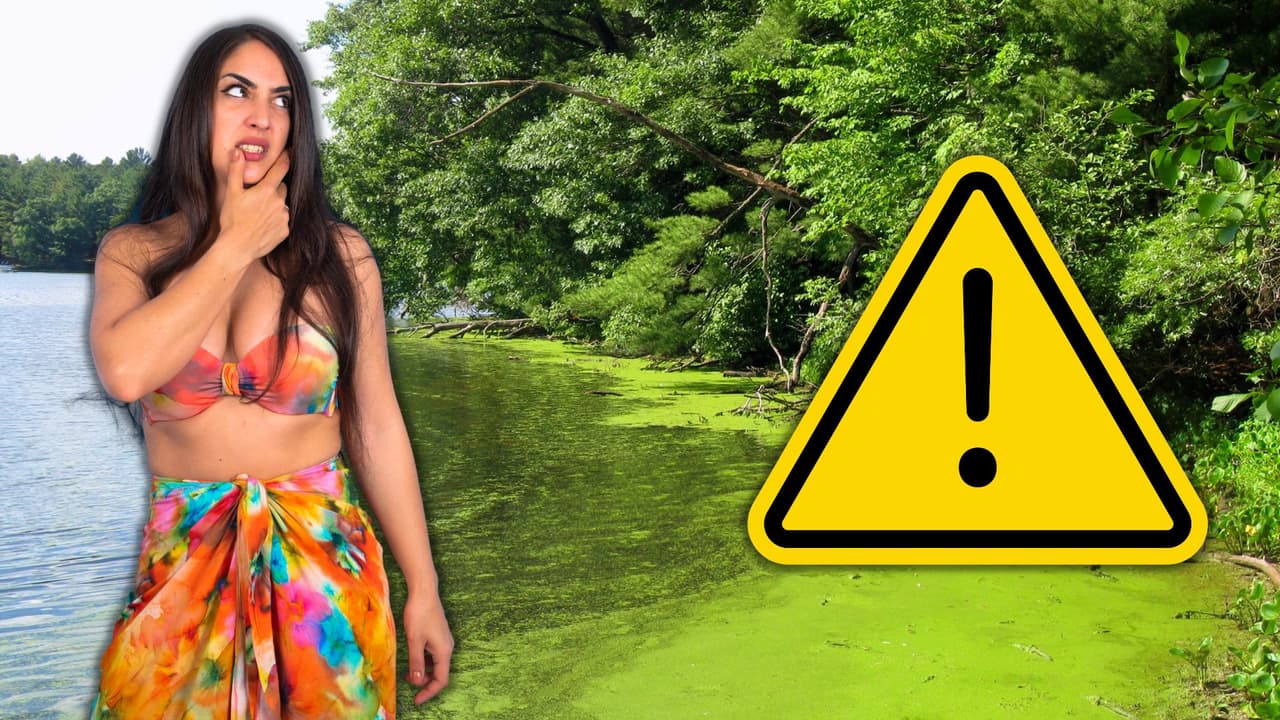 Alertan por algas tóxicas en lagos del Este de la Bahía