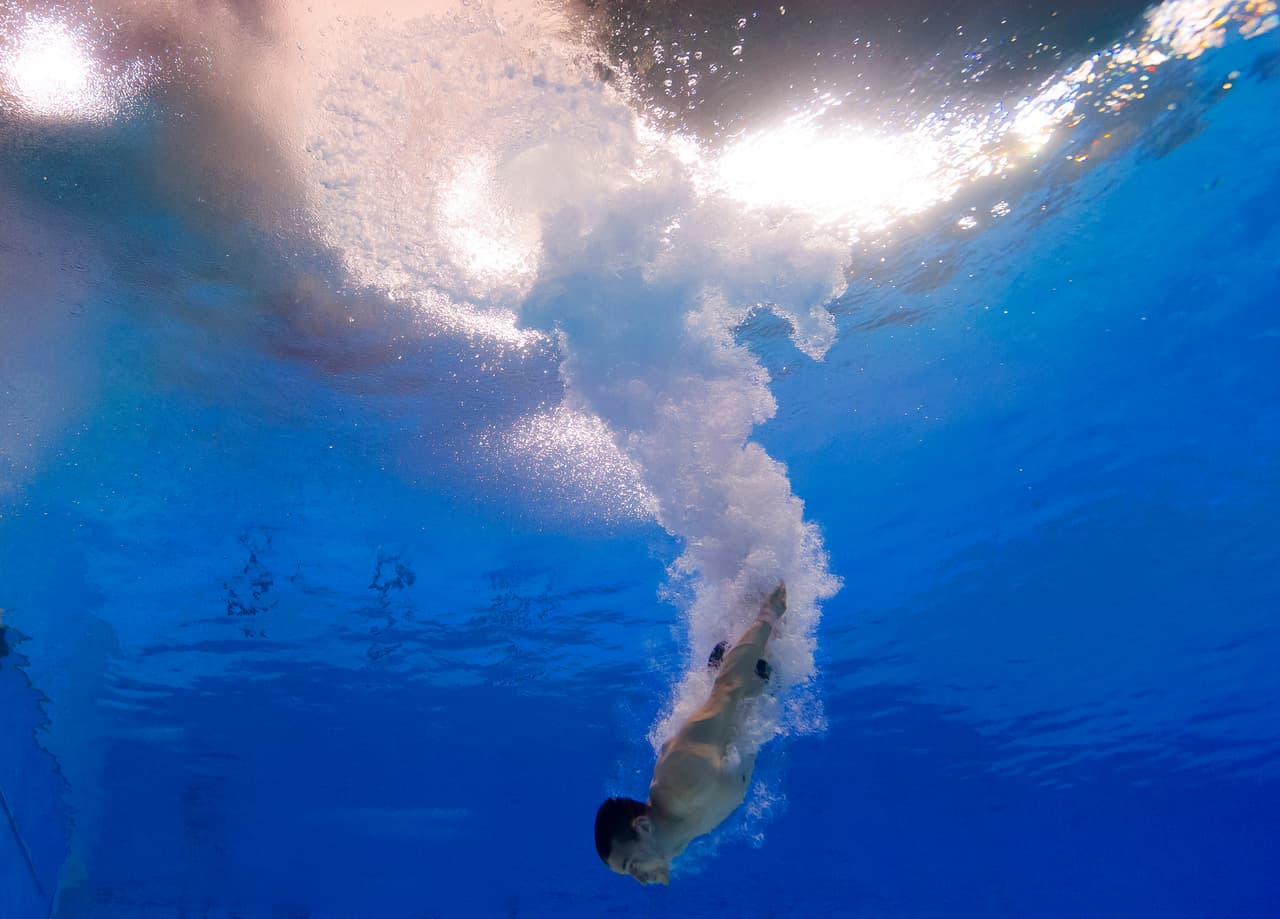 Los parásitos luego migran a los nervios olfativos (responsables del olor) donde causan la muerte de las células nerviosas.