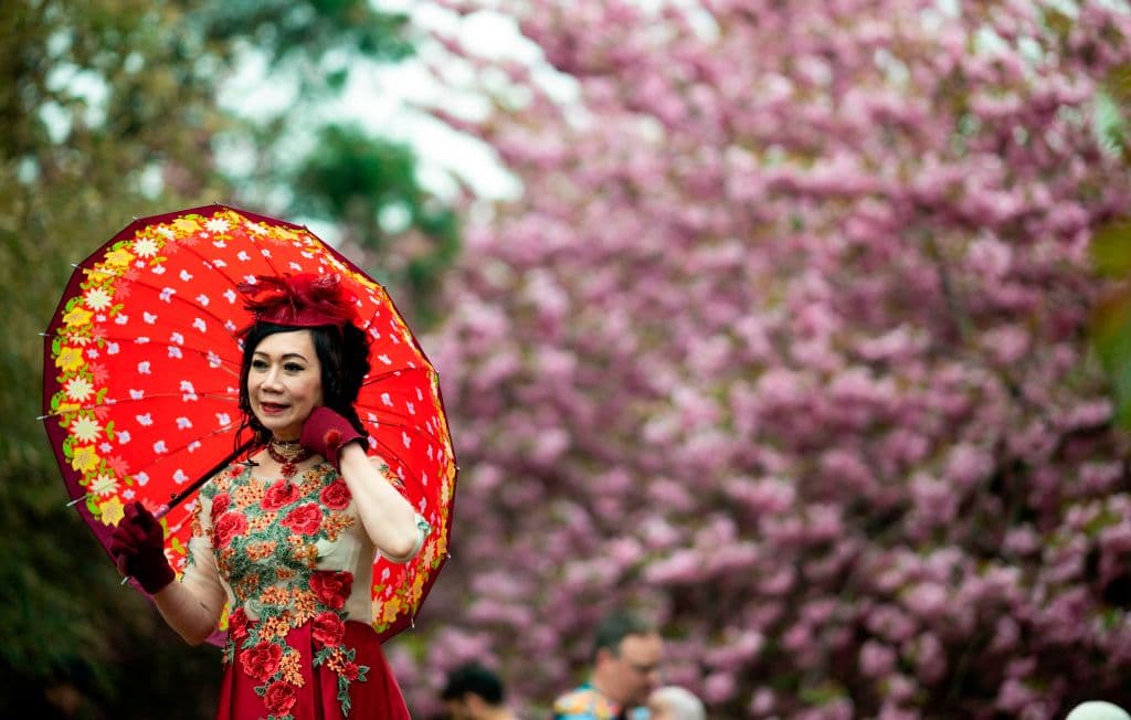 <a href="https://www.bbg.org/" target="_blank">Jardín Botánico</a> - Qué hacer en Brooklyn