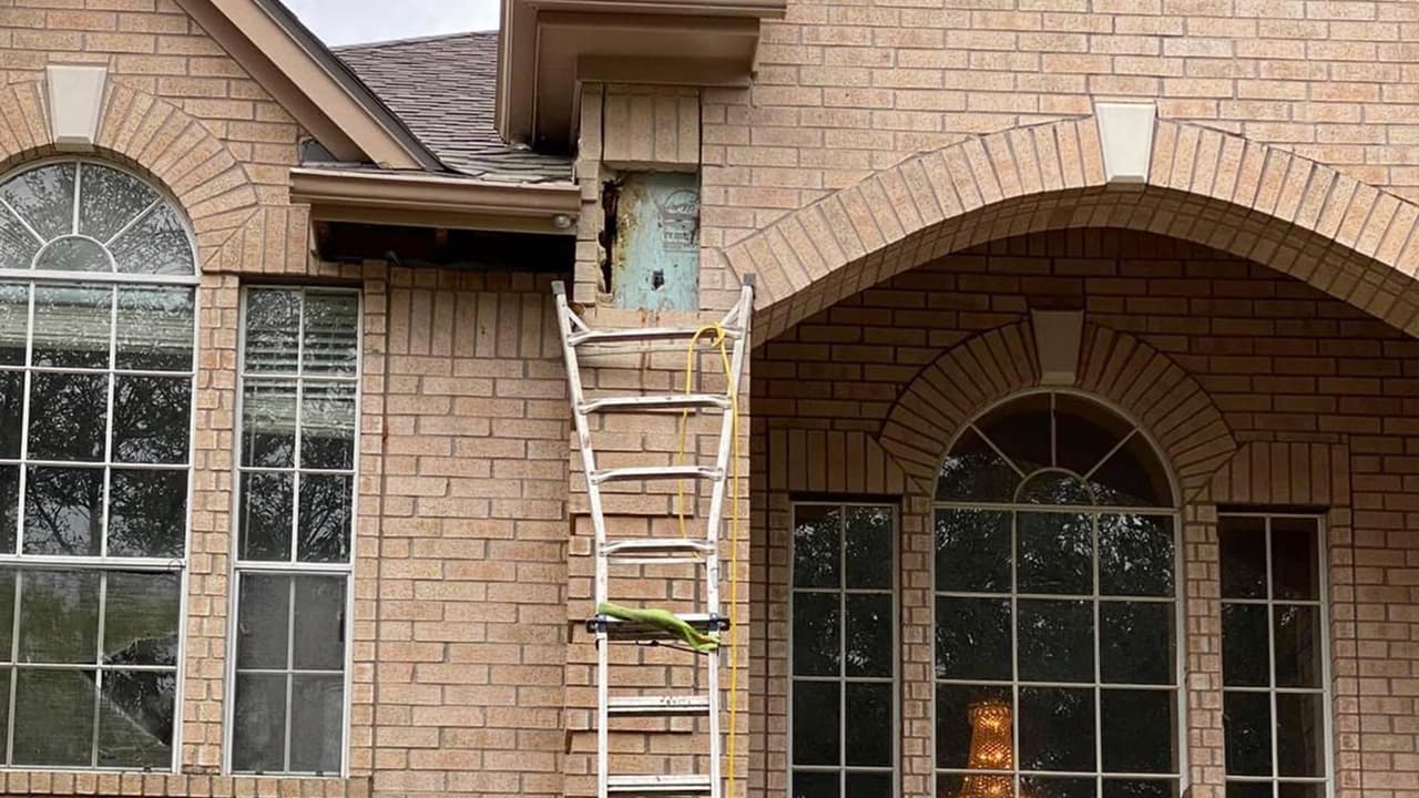 Cuando fueron unos trabajadores a controlar la plaga, se dieron cuenta de que no eran los únicos residentes de la casa.