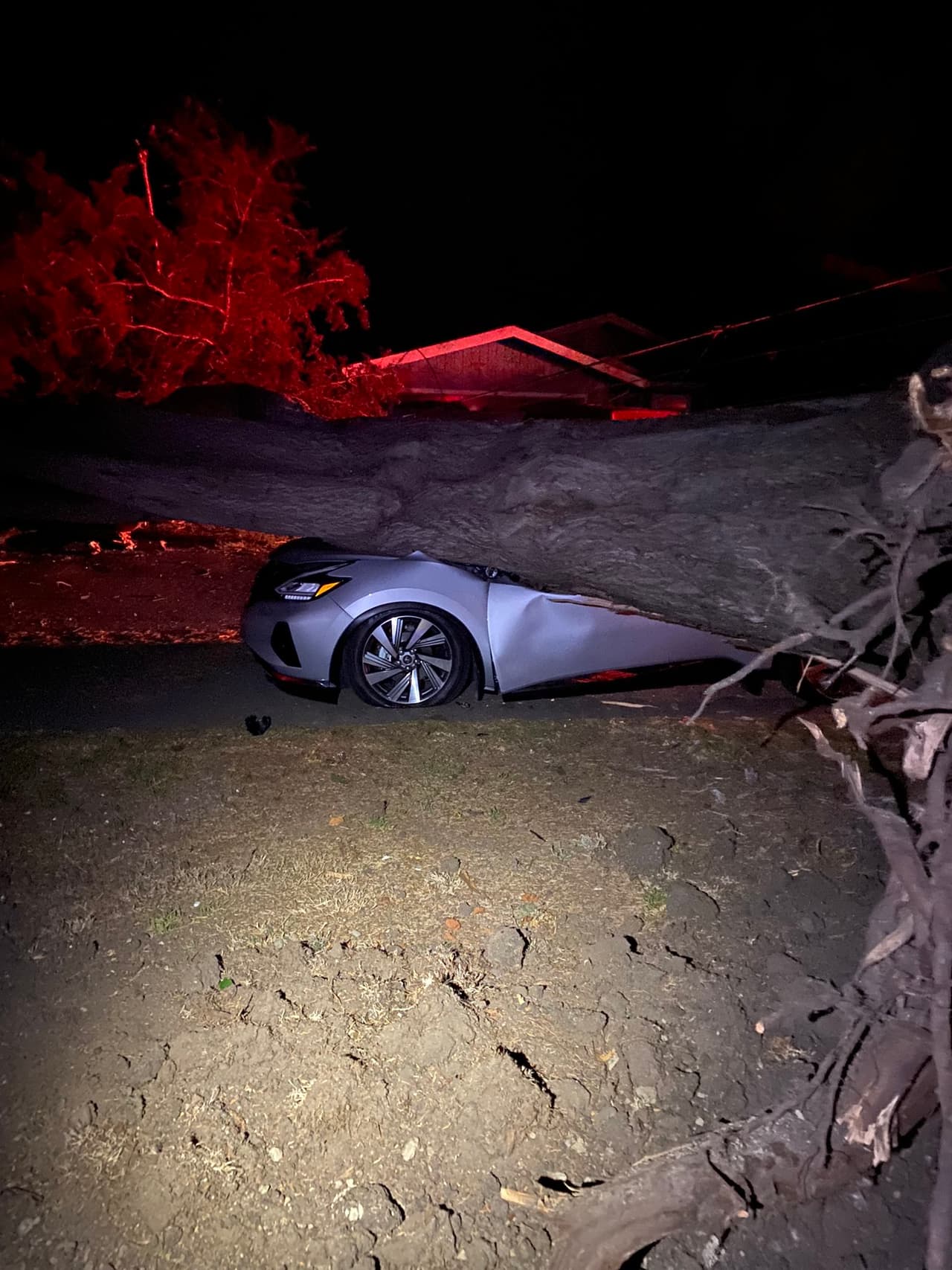 Los vecinos escucharon dos fuertes estruendos y luego descubrieron los daños a los autos.