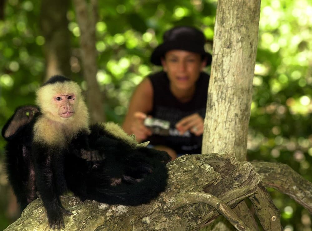<b>9. Costa Rica.</b> El noveno país lo ocupa esta nación centroamericana, conocida en todo el mundo por su respeto a la naturaleza. El estudio concluyó que el 71% de la población mundial experimentó mucha alegría. Sin embargo, también recalcó que un tercio de la población está estresada, preocupada y padece algún tipo de dolor. Los costarricenses, sin embargo, obtuvieron 81 puntos en este 
<i>ranking.</i>