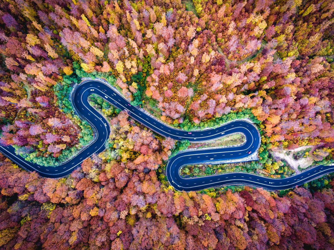 El azul de la carretera que cruza la montaña contrasta con los colores del Bosque Bogata, en Rumania