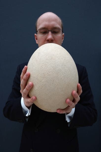 ¿Qué opinas sobre el precio en el que fue subastado?