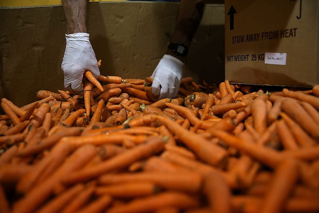 “Trabaja como una tarjeta de banco. Los beneficios son depositados en esa tarjeta mensualmente y ellos lo pueden utilizar en el supermercado, en los mercados agrícolas ahora ya también tienen la máquina para poder procesar las compras”, indicó Carlos Portillo, vocero de CalFresh.