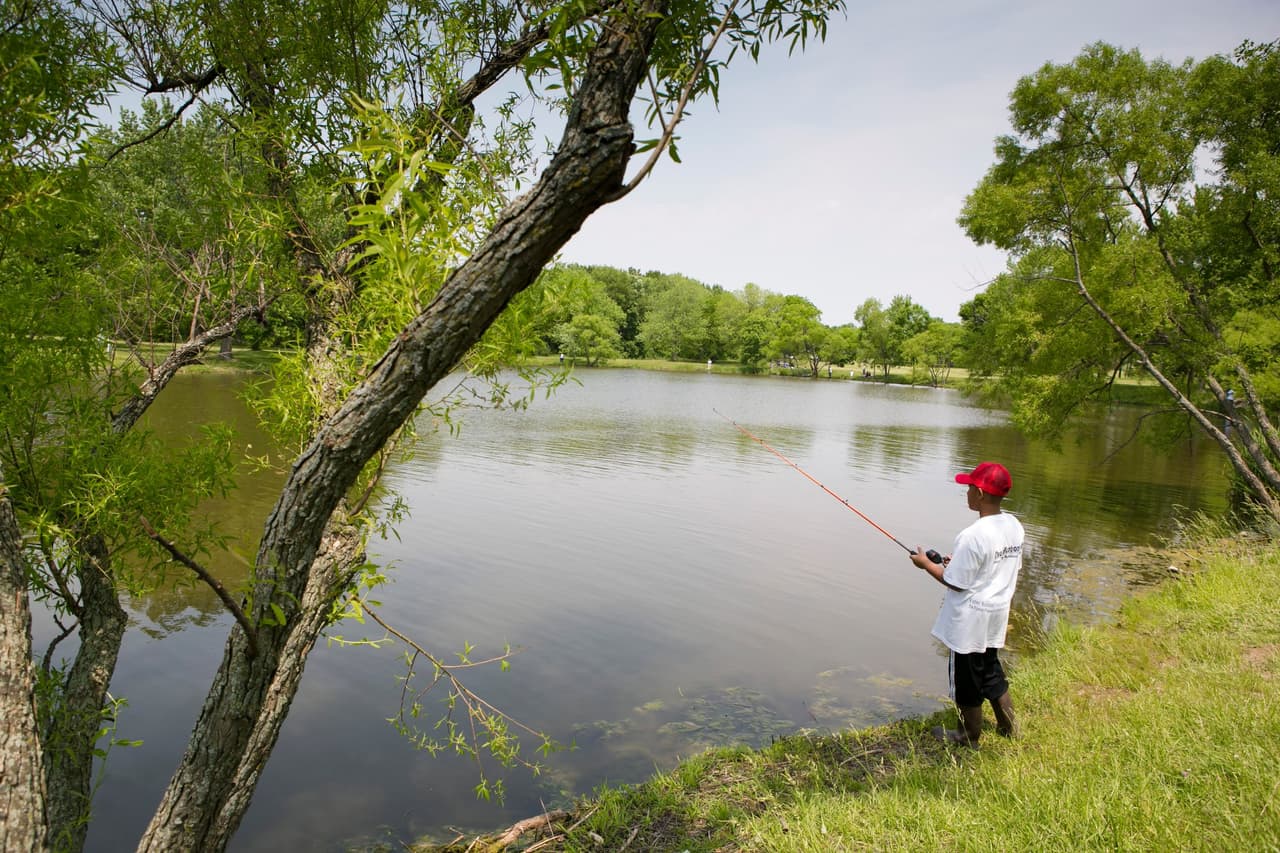 <b>Cook County Forest Preserve</b>: Las reserva forestales de Cook County permanecerán abiertas a las 6:30 am hasta el atardecer todos los días, siempre y cuando los visitantes se adhieran a la regla de distanciamento social de 6 pies y otras pautas de seguridad y salud pública. Sin embargo, varias instalaciones están cerradas y todos los programas de educación en persona, proyectos para voluntarios y eventos especiales se han cancelado o modificado en respuesta a las preocupaciones actuales de COVID-19.
<a href="https://fpdcc.com/coronavirus-disease-covid-19-events-locations-precautions/#precautions" target="_blank">Más aquí</a>.