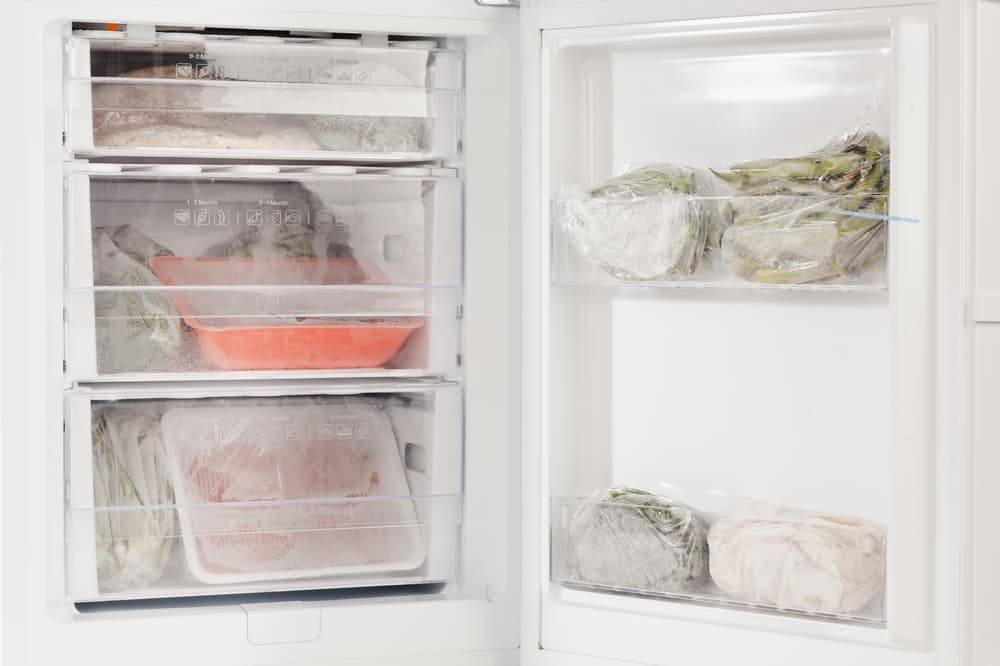 alimentos congelados