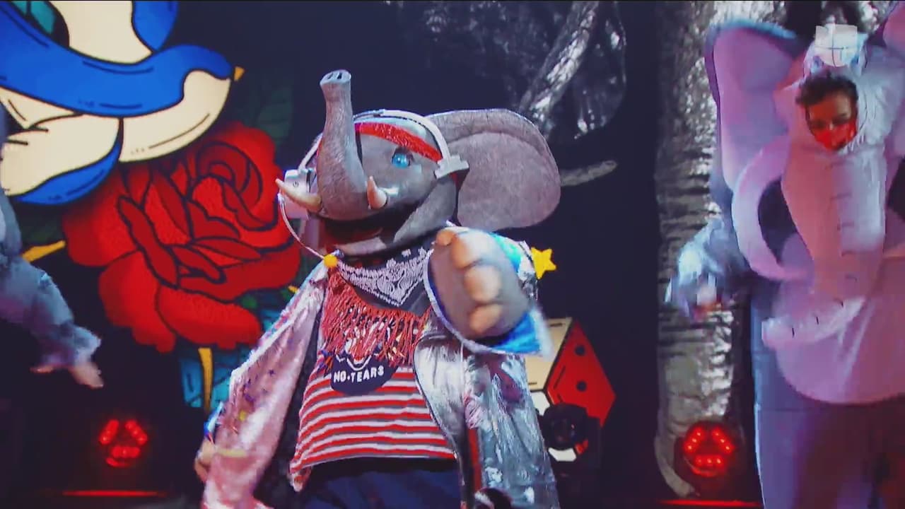 Su presencia sobre el escenario y su melodiosa voz pusieron en jaque a los investigadores.