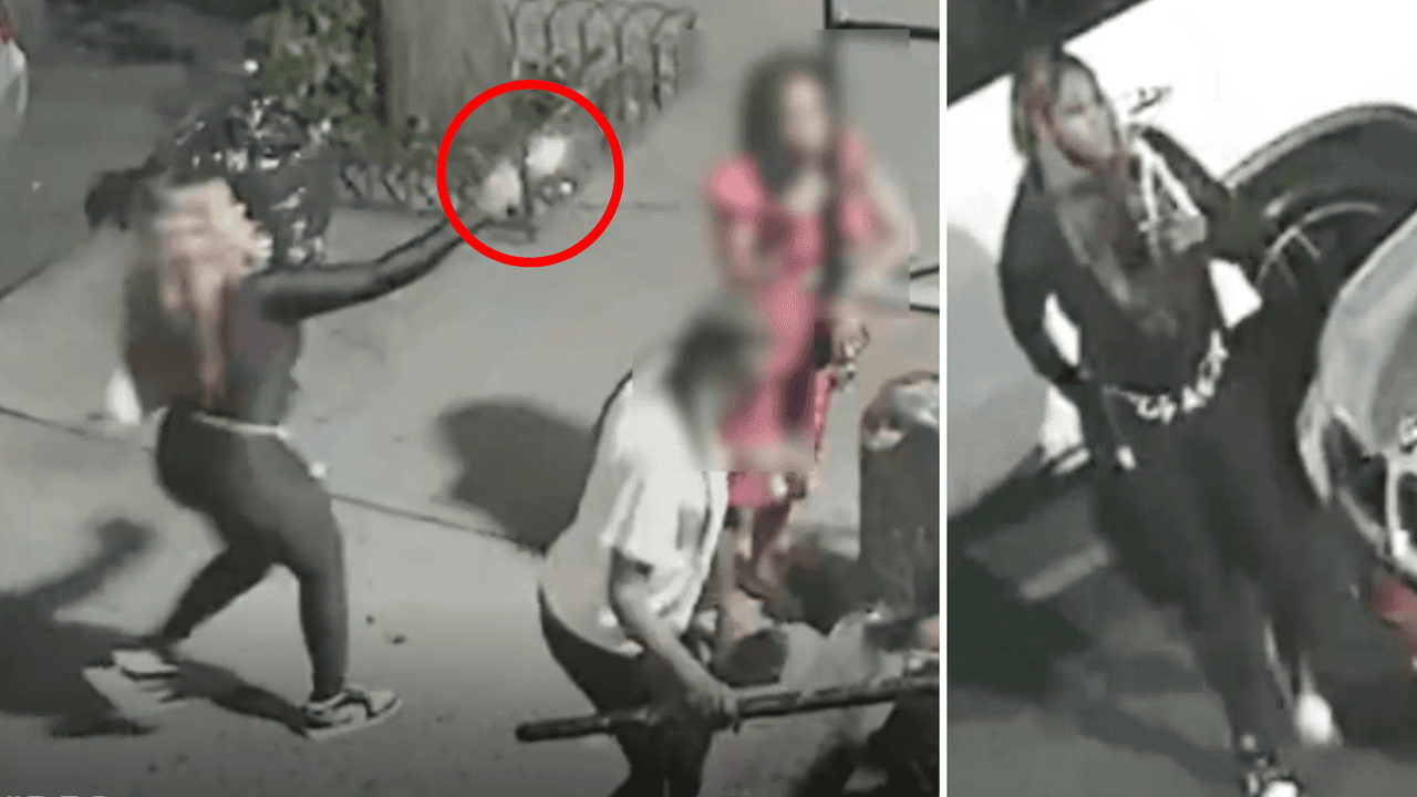 Sin mediar palabra, una mujer asesina a tiros a una madre que volvía de un funeral