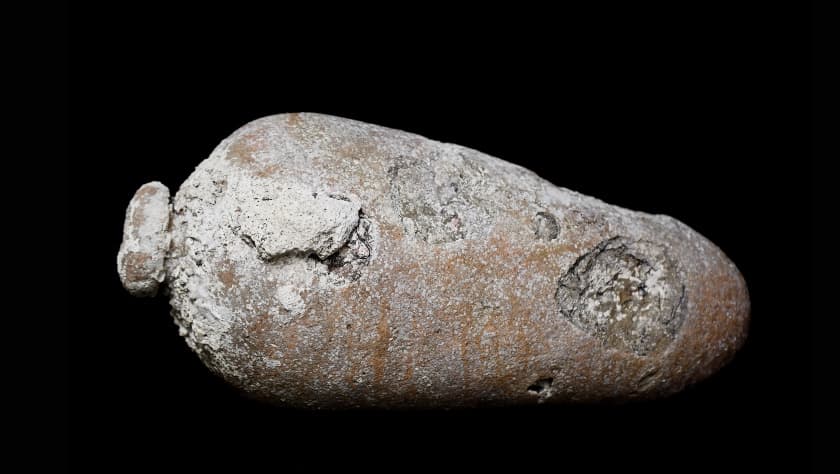 Otros objetos recuperados arrojan luz sobre la vida cotidiana en el galeón Nuestra Señora de las Maravillas, que navegó durante el "Siglo de Oro español", incluyendo jarras de porcelana china y de aceitunas, como la que se aprecia en la imagen y era usada para transportar alimentos.