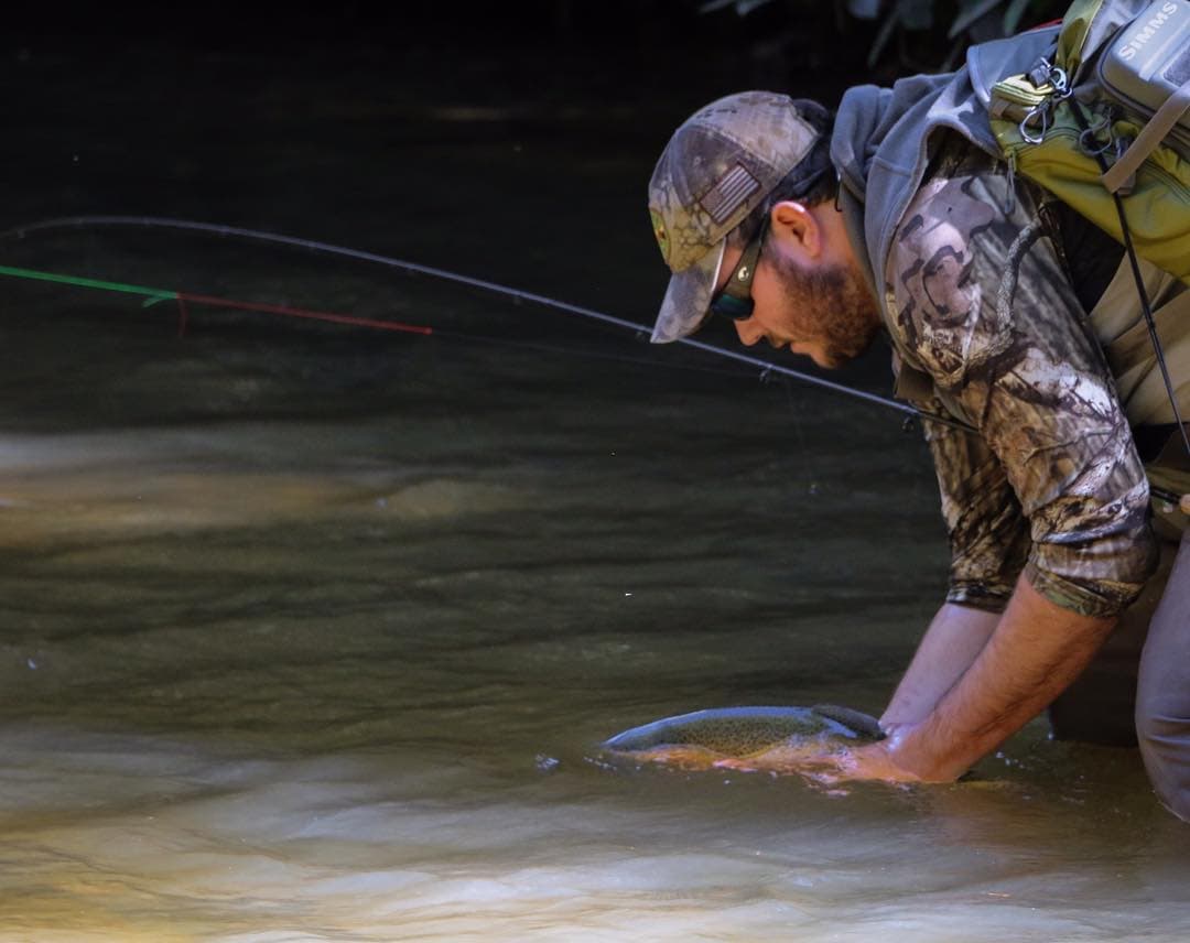 <b>Hiwassee River</b>. Se puede acceder más fácilmente a los diversos lugares de pesca del río Hiwassee que a la mayoría. Ideal para familias y principiantes, las áreas de compras, comida y juegos se encuentran a lo largo del río. La trucha arco iris y marrón representan la mayoría de las especies en las aguas protegidas estatales de alta calidad.
<br>
<br>
<b><a href="https://goo.gl/maps/aBGWN6ZfyueLgDih6">Cómo llegar</a></b>