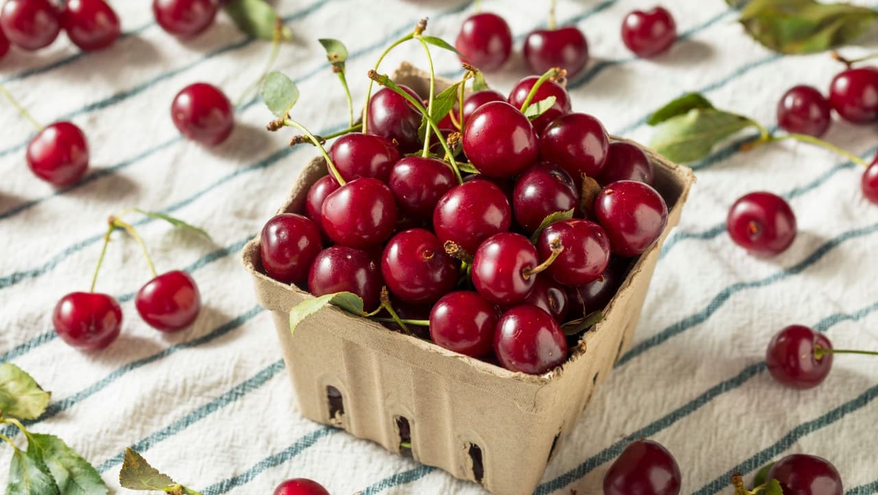 <b>Cerezas</b>: Si tienes una bolsa de cerezas ácidas en la despensa o una botella de jugo de cereza en el refrigerador, estás de suerte. Las cerezas ácidas están repletas de
<b> triptófano </b>y 
<b>melatonina</b>. Si elige el jugo, solo asegúrese de obtener una botella sin azúcares agregados.
