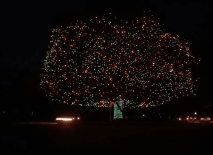 <b>Highland Park y su árbol. </b>La ciudad lo considera como la 
<a href="http://www.hptx.org/index.aspx?nid=491">tradición de encendido del árbol más antigua del condado de Dallas</a>. Desde 1927 se prende todos los diciembres. Este año, la ceremonia se realizará el 7 de diciembre a las 6:00 pm (en Armstrong Parkway, al oeste de Preston Road). Pero además del árbol, las masiones y otras residencias de la ciudad despliegan un hermoso espectáculo de luces todos los años. Varias compañías ofrecen paseos en carruaje.