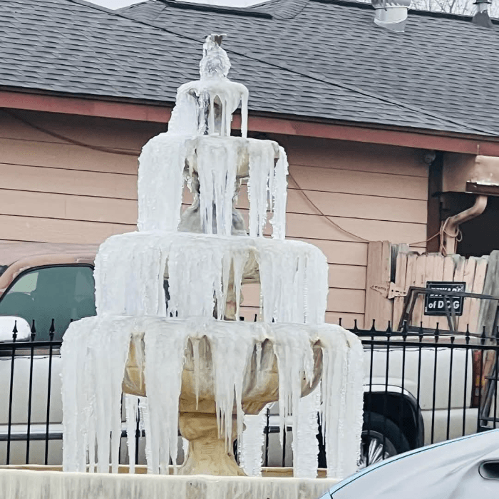 La tormenta invernal trajo una densa capa de nieve que cubrió la ciudad y varias zonas del centro de Texas.
<br>
<br>Usuarios de Univision enviaron las imágenes de cómo vivieron la primer nevada del 2025.