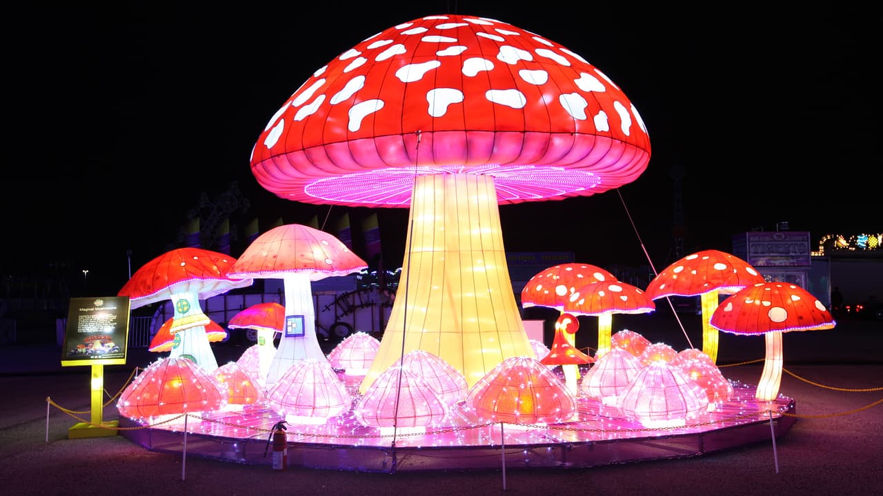 El festival estará abierto el día de Acción de Gracias, Navidad y Año Nuevo.