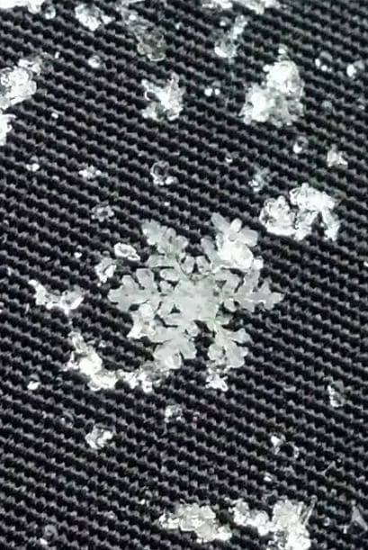 Fotografía enviada por Adalid Coria.