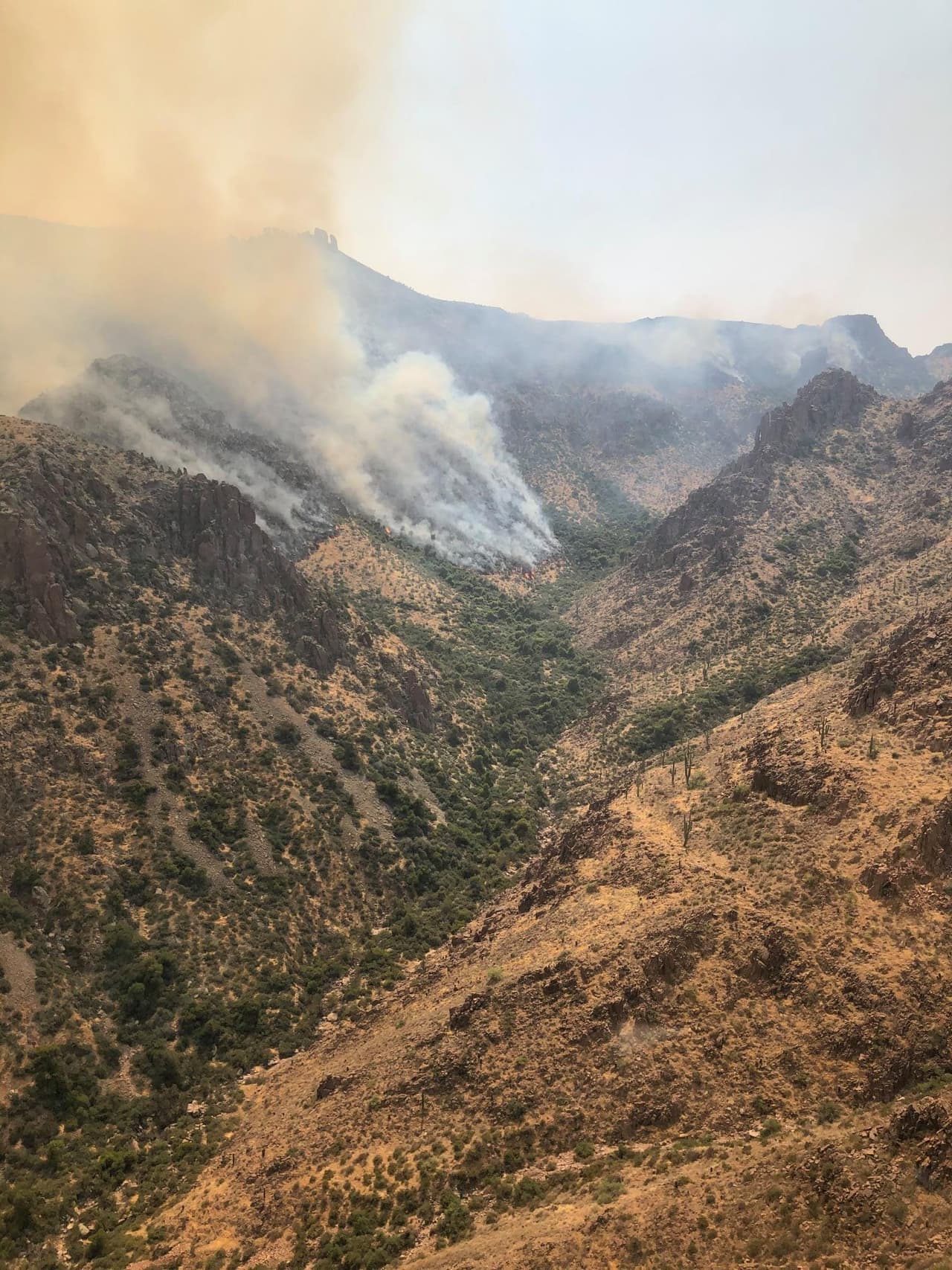 <a href="https://inciweb.nwcg.gov/incident/7046/" target="_blank">Autoridades indican que el incendio comenzó el 20 </a>d e agosto como resultado de un rayo de las tormentas eléctricas. 
<br>