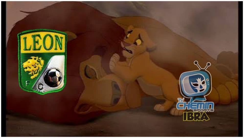 Gracias a la doble jornada, les memes tienen la oportunidad de salir y regresan más divertidos que nunca.