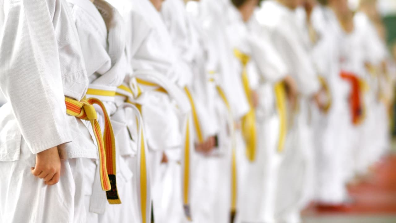 Aunque las artes marciales son un deporte de contacto físico que enseñan defensa propia, podría darse el caso de que el instructor que no se esté portando bien.
<br>