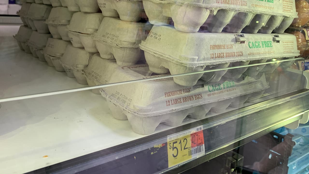 El experto resaltó que todos estos factores se juntaron para disparar el precio del huevo en una forma dramática como se registra actualmente.