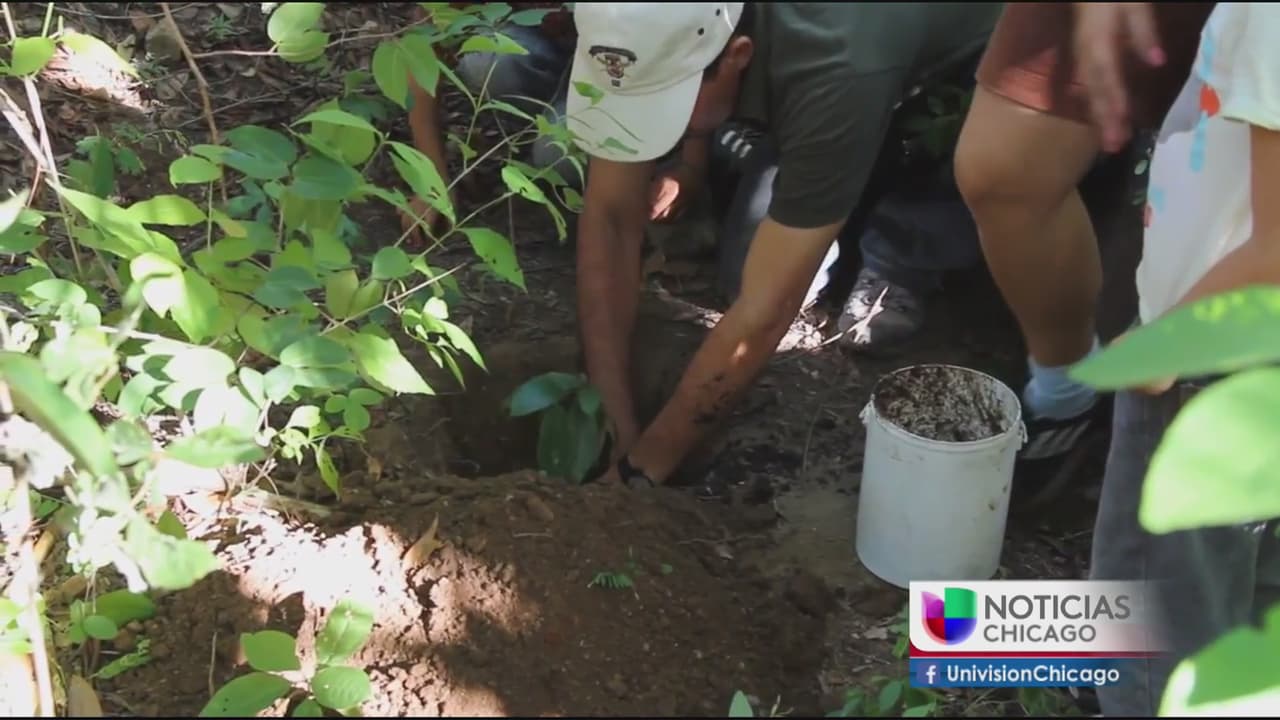 Chicago promueve el talento local en el cine