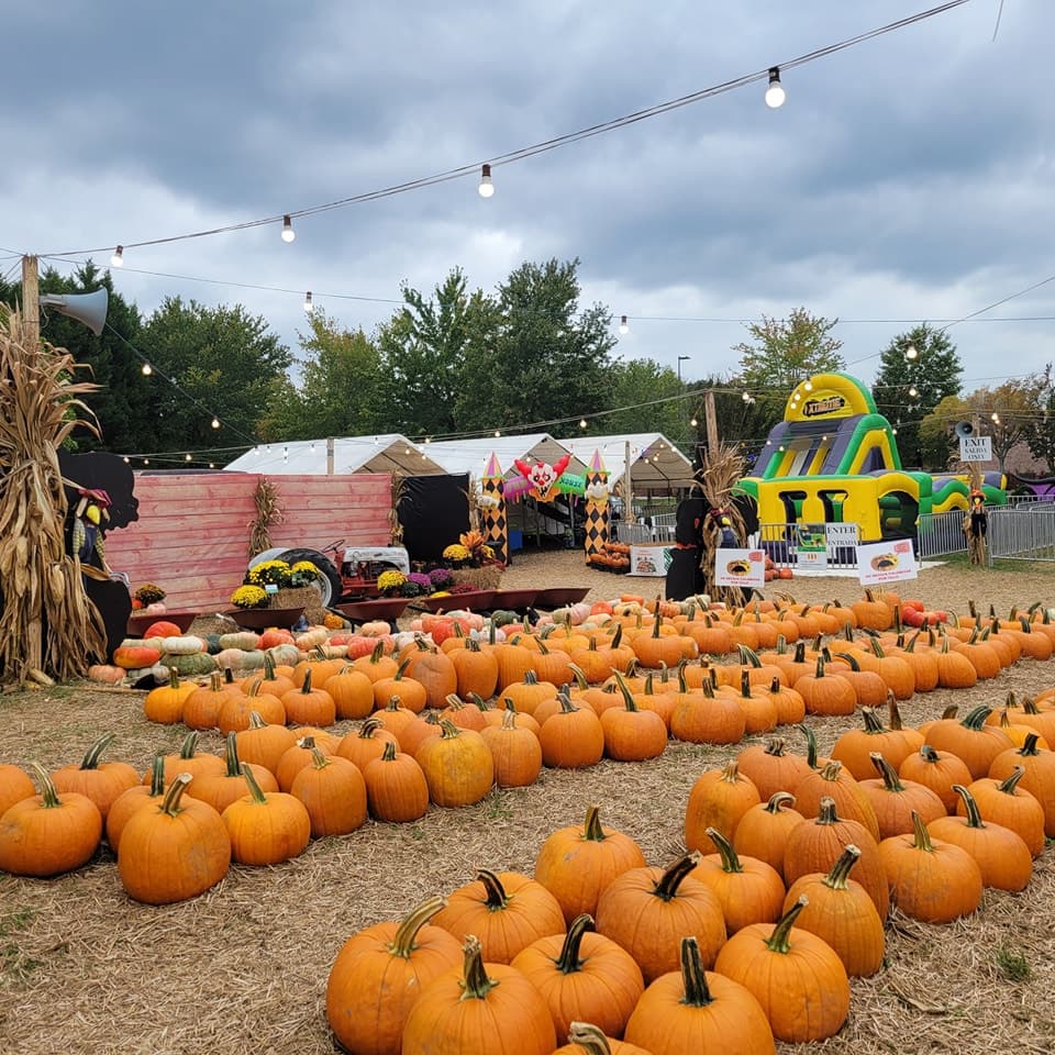 <b>Randy's Pumpkin Patch (Lawrenceville)</b>
<br>
<b>Sitio web</b>: 
<a href="https://www.randyspumpkinpatch.com/">https://www.randyspumpkinpatch.com/</a> 
<br>
<b><a href="https://maps.app.goo.gl/Ene4p1YVywriQ3bFA">Cómo llegar</a> </b>
<br>
<br>La granja ofrece actividades que la familia puede disfrutar ya que, además del huerto de calabazas, también encontrarás pintura de caras, paseos en pony, una carrera de obstáculos inflable y más.