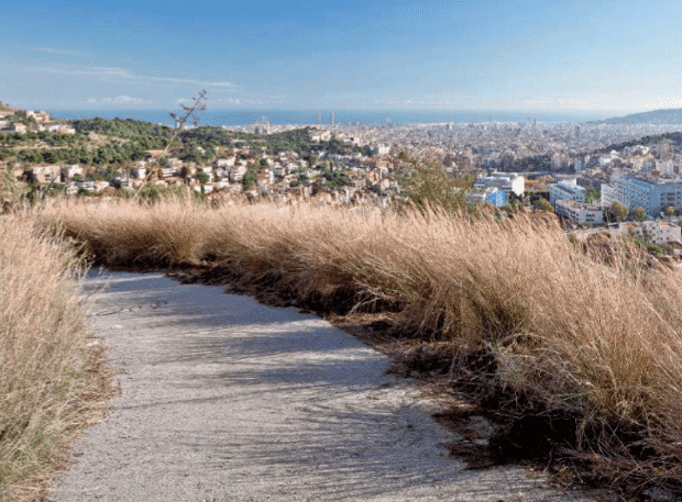 La vista desde el Parc dels Tres Turons, el cual se encuentra en las colinas que quedan detrás del centro de Barcelona.