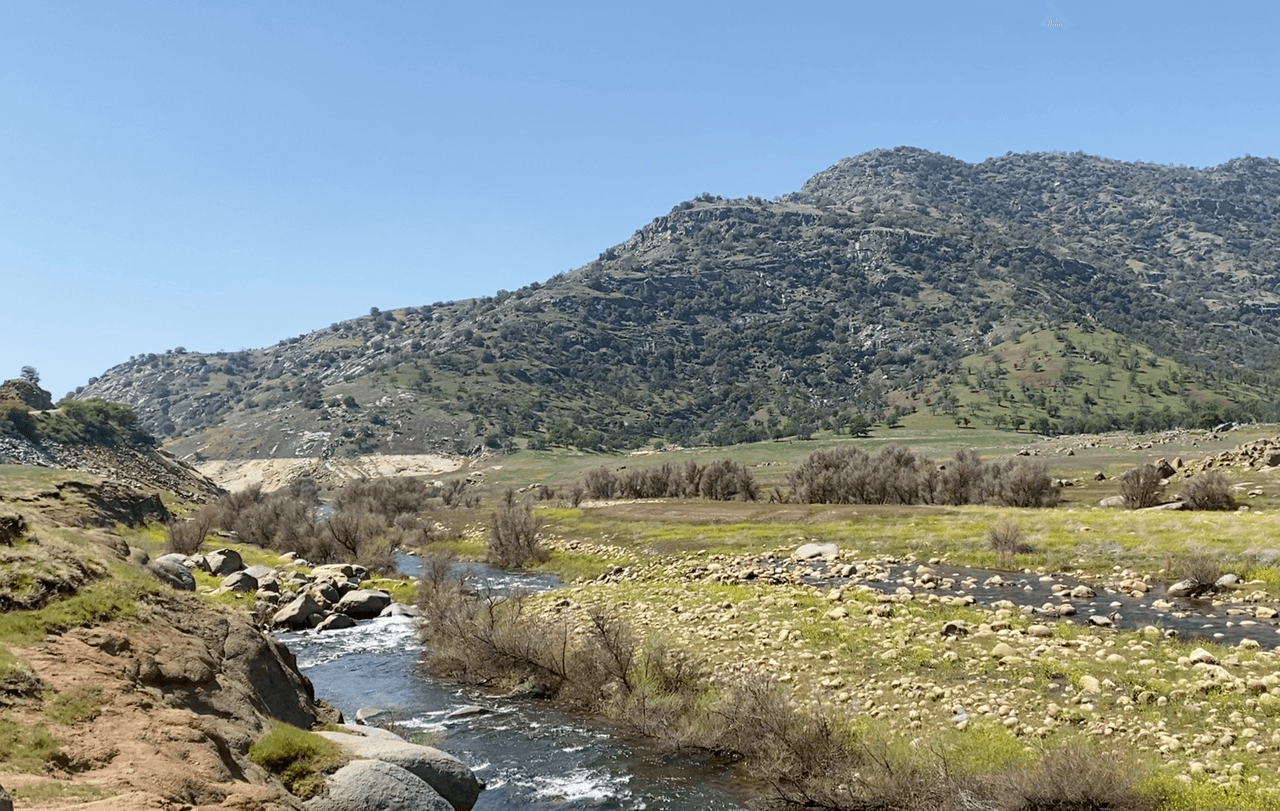 Una vez sales de la zona metropolitana del condado y superas la autopista I5 norte, te encontrarás con un paisaje natural que te animará a seguir el recorrido con vías llenas de la flor California poppy.