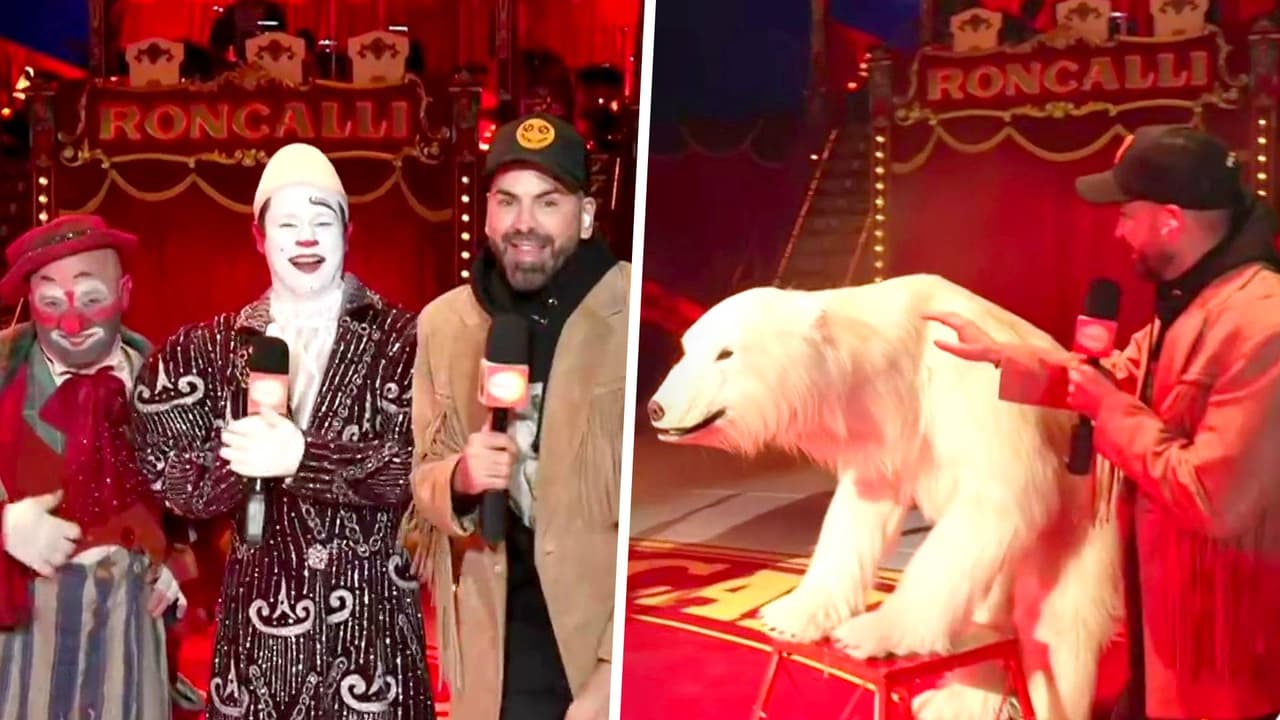 Jomari Goyso disfrutó del talento y los osos muy reales del Big Apple Circus en Nueva York