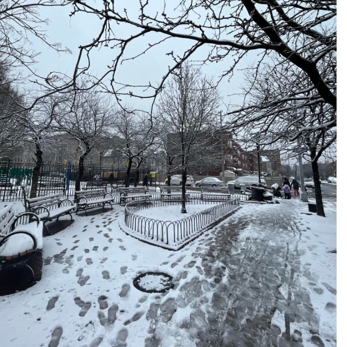 Esta fue la primera nevada importante de toda la temporada invernal en Nueva York.