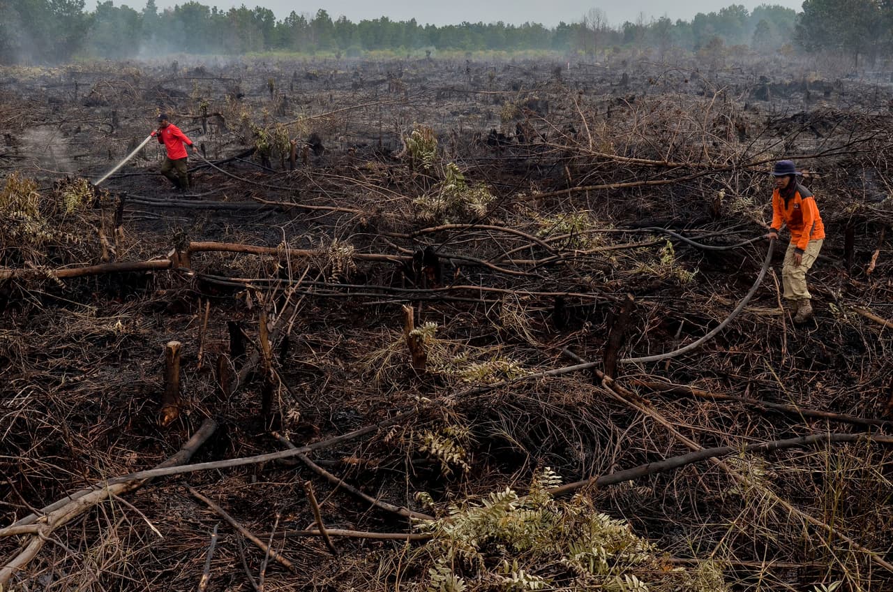 Los bomberos extinguen un incendio en Pekanbaru, Indonesia. Muchos de los fuegos forestales en ese país ocurren porque propietarios de terrenos queman la tierra para limpiarla y luego sembrarla. Los incendios de Indonesia han emitido más CO2 que toda la economía de EEUU en los años más recientes, según reporte de
<a href="http://www.globalfiredata.org/">globalfiredata</a>, organización que cuantifica las emisiones de los incendios en el mundo. La fotografía es de febrero de 2018.