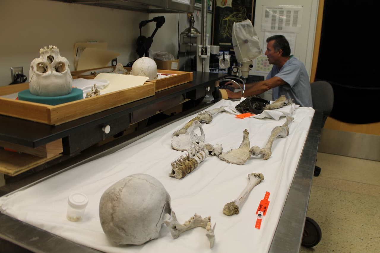 Buscan identificar más de 800 restos de inmigrantes encontrados en la frontera de Arizona