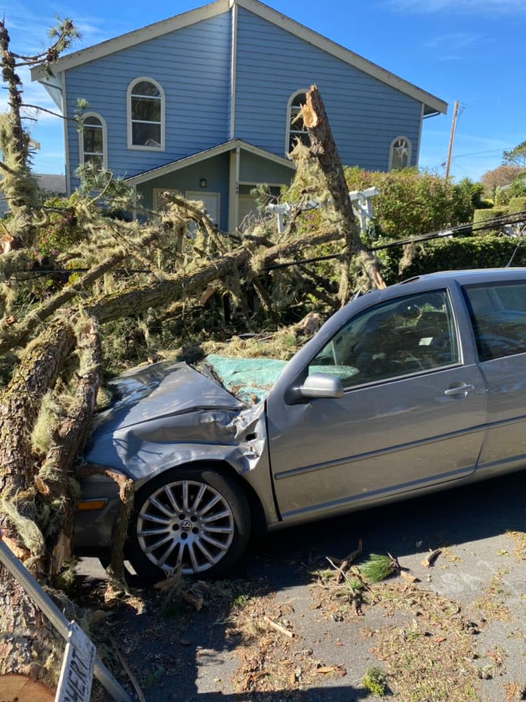 En la imagen, bomberos de Santa Cruz llegaron hasta una vivienda en la que un árbol caído daño no solo los cables del tendido eléctrico, sino un también un vehículo estacionado en el lugar.